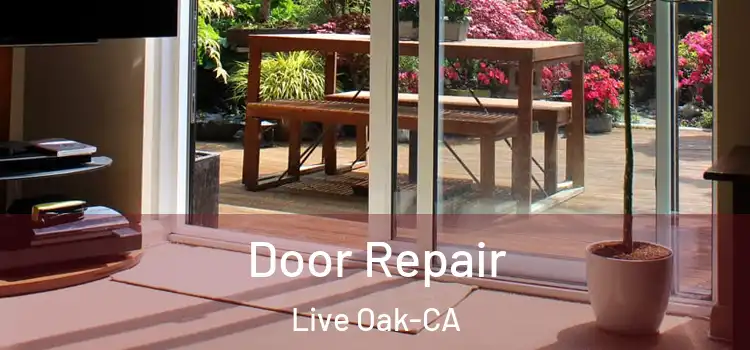 Door Repair Live Oak-CA