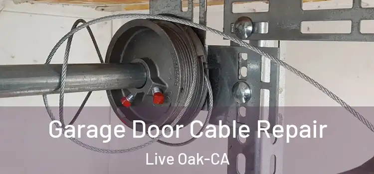  Garage Door Cable Repair Live Oak-CA