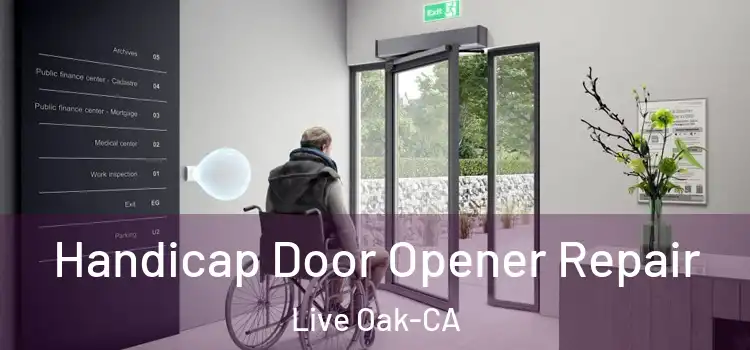 Handicap Door Opener Repair Live Oak-CA